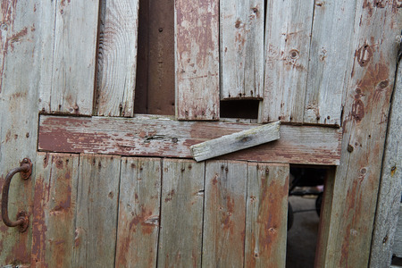 pictures wood, firewood , texture shooting in ukraineの写真素材