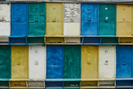 pictures wood, firewood , texture shooting in ukraineの写真素材