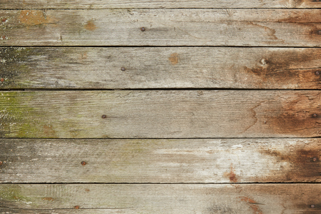 pictures wood, firewood , texture shooting in ukraineの写真素材