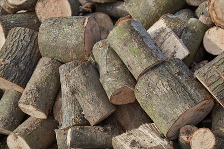 pictures wood, firewood , texture shooting in ukraineの写真素材