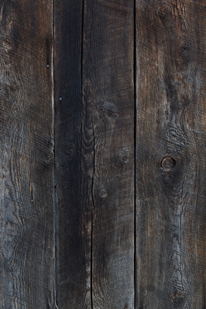 pictures wood, firewood , texture shooting in ukraineの写真素材