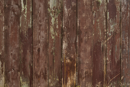 pictures wood, firewood , texture shooting in ukraineの写真素材