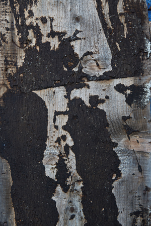 pictures wood, firewood , texture shooting in ukraineの写真素材