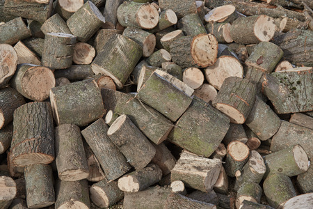 pictures wood, firewood , texture shooting in ukraineの写真素材