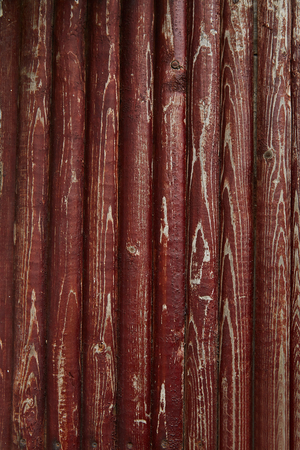 pictures wood, firewood , texture shooting in ukraineの写真素材