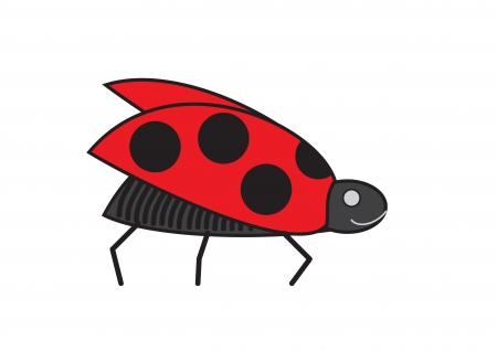 Flying lady beatle on the white background  Vector illustration のイラスト素材