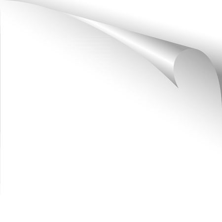 white blank curled shadowed paper without textのイラスト素材