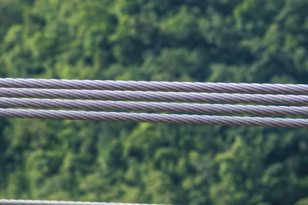 Four Sling in nature backgroundの写真素材