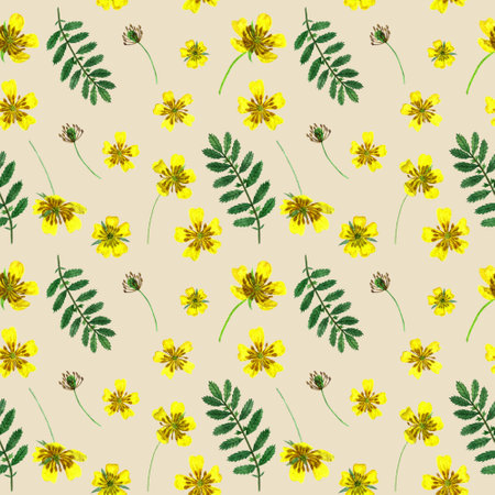Ranunculus acris. Watercolor wildflowers seamless pattern. Design for fabric, wallcovering, postcard, invitations, paper for scrapbooking or wrapping paper.の写真素材