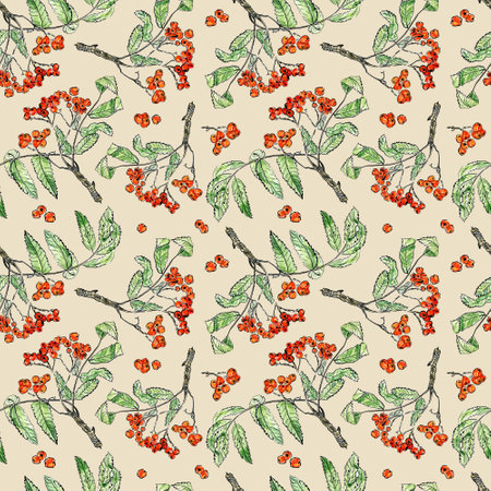 Watercolor rowan seamless pattern on beige background. Ashberry sketch style. Design for fabric, wallcovering, postcards, invitations, paper for scrapbooking.の写真素材