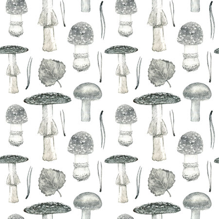 Mushroom set. pencil graphics. hand drawn. Design for fabric, wallcovering, postcards, invitations, paper for scrapbooking.の写真素材