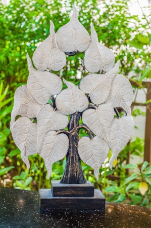 Bodhi treeの写真素材