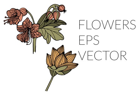 Beautiful flower banner with hand drawn flowers in line style and with words on it. Vector illustrationのイラスト素材