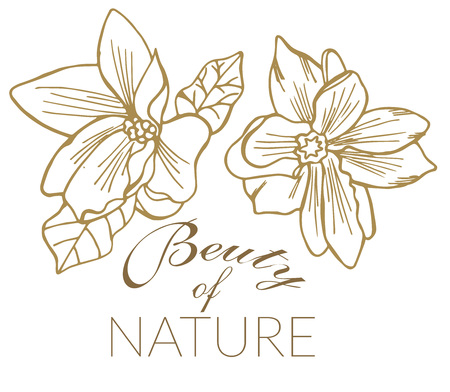Beautiful flower banner with hand drawn flowers in line style and with words on it. Vector illustrationのイラスト素材