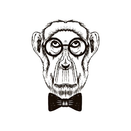 Hipster Monkey Muzzle Wearing Glasses and Bowtie Vector Hand Drawn Illustration. Artistic Black and White Animal Designのイラスト素材