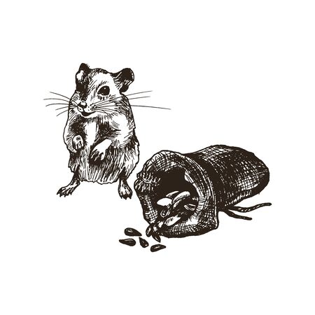 Field Mouse or Rat Character Standing Beside the Grain Sack Isolated on White Background Vector Illustration. Fluffy Sketched Rodent Drawing Conceptのイラスト素材