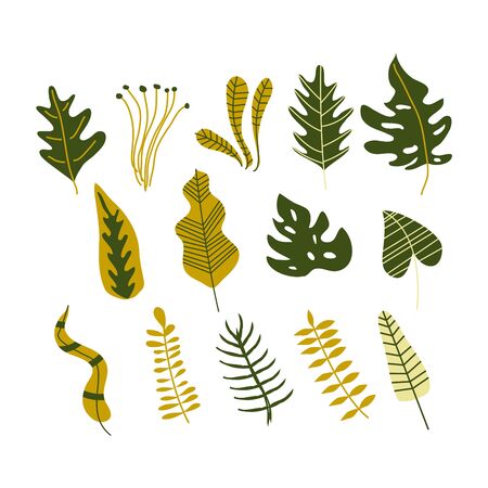 Abstract Fancy Shaped Tropical Plants and Leaves Vector Set. Exotic Foliage and Fauna for Trendy Card Designのイラスト素材