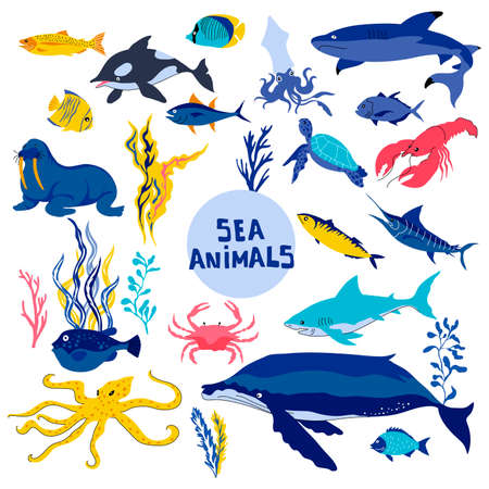 Sea Animals or Marine Life Floating Underwater Vector Set. Aquatic Creatures from Ocean Bottom Conceptのイラスト素材