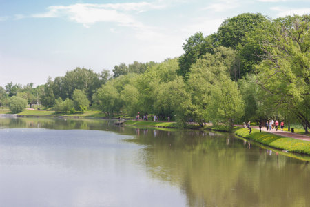 Summer evening on the lakeの写真素材