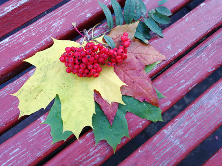 Bunch of rowan on wooden table from aboveの写真素材