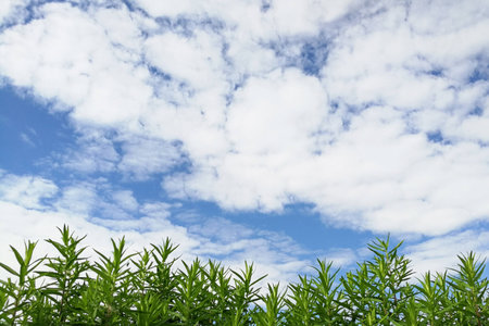 blue sky background with white cloudsの写真素材