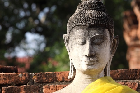 buddhaの写真素材