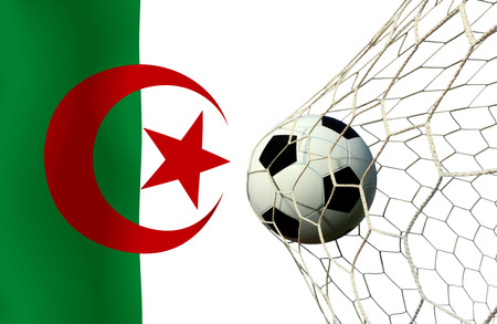 Algeria soccer ballの写真素材