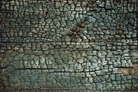 Black wood texture of burnt tree after fire