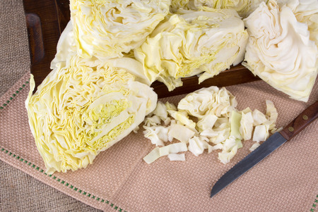 cabbageの写真素材