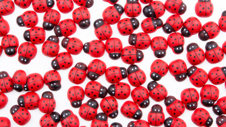 wooden ladybugの写真素材