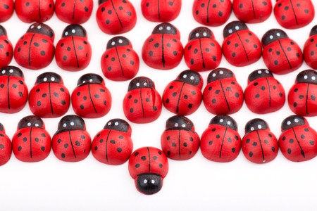 Opposition with wooden ladybugの写真素材