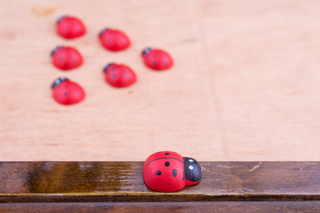 Opposition with wooden ladybirdの写真素材