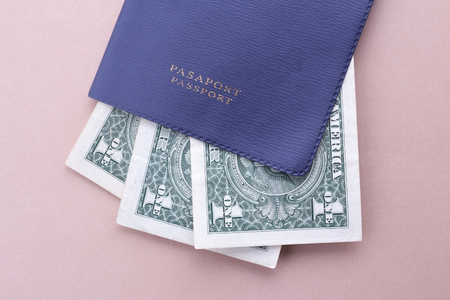 Passport with One Dollar paper currencyの写真素材