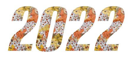 Year 2022 with flowered fabric texture on white background.