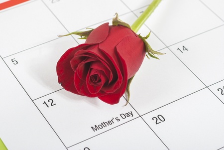 Red rose bud on calendar showing mothers day