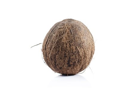 brown round fresh coconut on white backgroundの写真素材