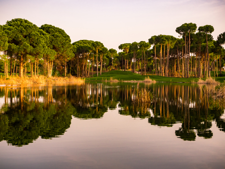 Photo of Golf course in the countrysideの写真素材