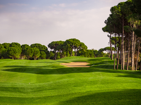 Photo of Golf course in the countrysideの写真素材