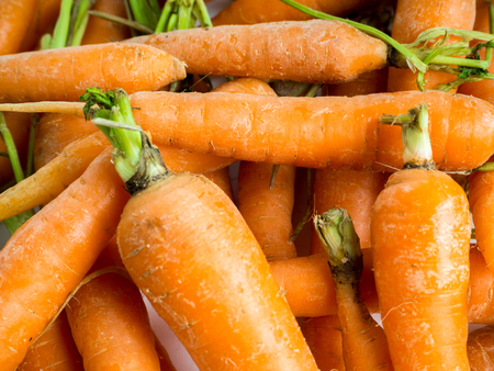 close up photo of fresh homegrown carrotsの写真素材