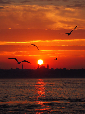 steamboat in Istanbul with seagulls at golden sunsetの写真素材