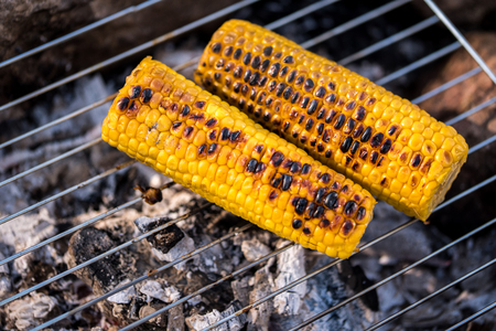 Corn cut into pieces grilled on the coal on hot stove.の写真素材