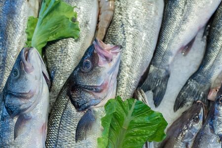 Seafood on ice at the fish market