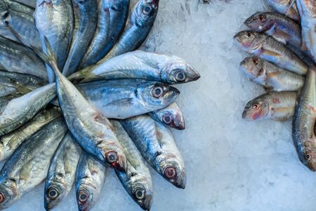 Seafood on ice at the fish marketの写真素材