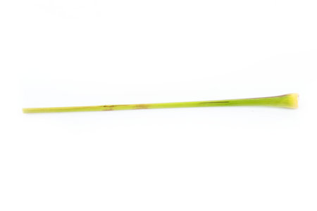 Fresh Lemon grass on a white background.の写真素材