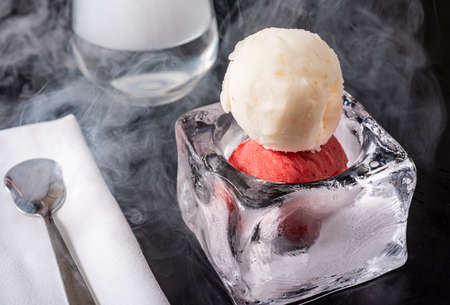 Strawberry and vanilla ice cream in ice bowl on black background.の写真素材