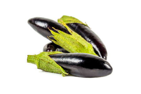 Freshly harvested mini eggplant on a white background.の写真素材