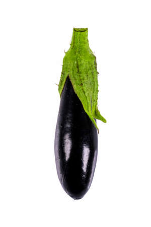 Freshly harvested mini eggplant on a white background.の写真素材