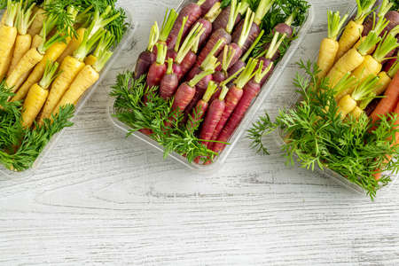 Freshly harvested colorful mini carrots on white wooden background