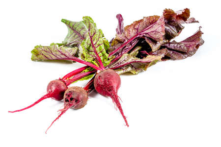 Freshly harvested mini red radish on a white background