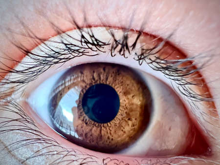 brown eye retina with reflection on it close-upの写真素材
